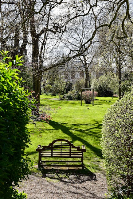 A tranquil garden scene featuring a neatly mowed lawn with lush green grass, bordered by well-maintained hedges and flowering shrubs. In the foreground, a wooden garden bench with decorative armrests is placed on a gravel pathway, casting a shadow on the ground. Tall, mature trees with budding leaves provide partial shade, their branches stretching across the sky. The background reveals more garden beds and a clothesline with a pink towel hanging, suggesting ongoing garden maintenance. The environment appears bright and inviting, with natural sunlight illuminating the different textures of the grass, soil, and foliage. Gardeners Pimlico is visible in the description, emphasizing outdoor landscaping work focused on lawn care, hedge trimming, and general garden upkeep.
