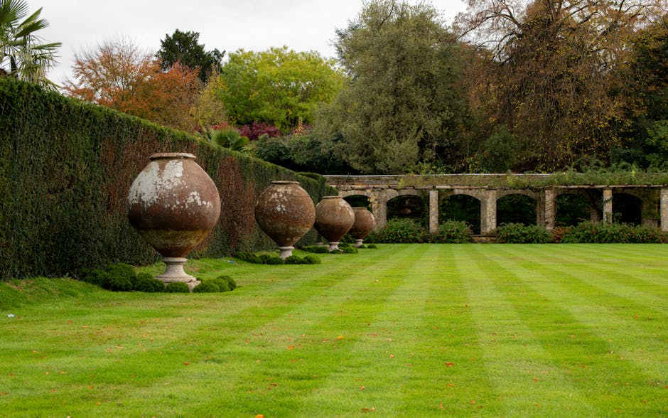 A well-maintained lawn with evenly cut, lush green grass features narrow, parallel mowing lines that create a striped pattern. Along the left side, a tall, dense hedge of dark green evergreen shrubs runs the length of the garden, topped with a flat trimmed edge. In front of the hedge, a series of large, weathered terracotta urns with a rounded, bulbous shape and wide openings sit on short stone pedestals, spaced evenly apart. Behind the urns, a variety of trees with autumnal foliage in shades of orange, red, yellow, and green add depth and color contrast to the scene. In the background, a stone wall with arches and a small covered walkway provides a focal point, partially obscured by foliage. The environment appears serene, with soft, natural lighting indicating an overcast day, emphasizing the textures of the grass, soil, and plant leaves. The overall setting reflects careful garden maintenance and landscaping work by Gardeners Pimlico, focusing on lawn care, hedge trimming, and outdoor beautification.