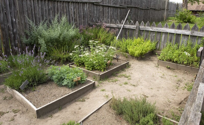 Garden backyard