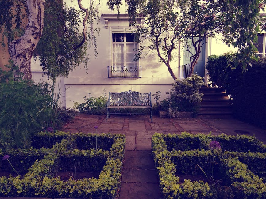 A small, well-maintained garden featuring a paved patio area with reddish-brown stone tiles, bordered by neatly trimmed rectangular and square hedges filled with low-growing green foliage. In the center, a decorative wrought-iron garden bench with intricate scrollwork and a dark finish faces the patio, positioned in front of a white building with a centered window framed by white shutters and a small black wrought-iron balcony. To the left, a large leafy tree with a textured trunk extends its branches over the garden, creating shade and adding to the lush greenery. On the right, a bushy shrub with dense foliage partially obscures wooden steps ascending to a side entrance, while various plants, including ferns and flowering perennials, fill the garden beds along the wall and steps. The scene is lit softly, suggesting late afternoon or early evening, with natural light filtering through the leaves, emphasizing the textures of the soil, plants, and aged stone paving. Gardeners Pimlico, a professional gardening service, maintains this outdoor space, which exemplifies tidy lawn care, hedge trimming, and garden maintenance typical of landscaped residential gardens.