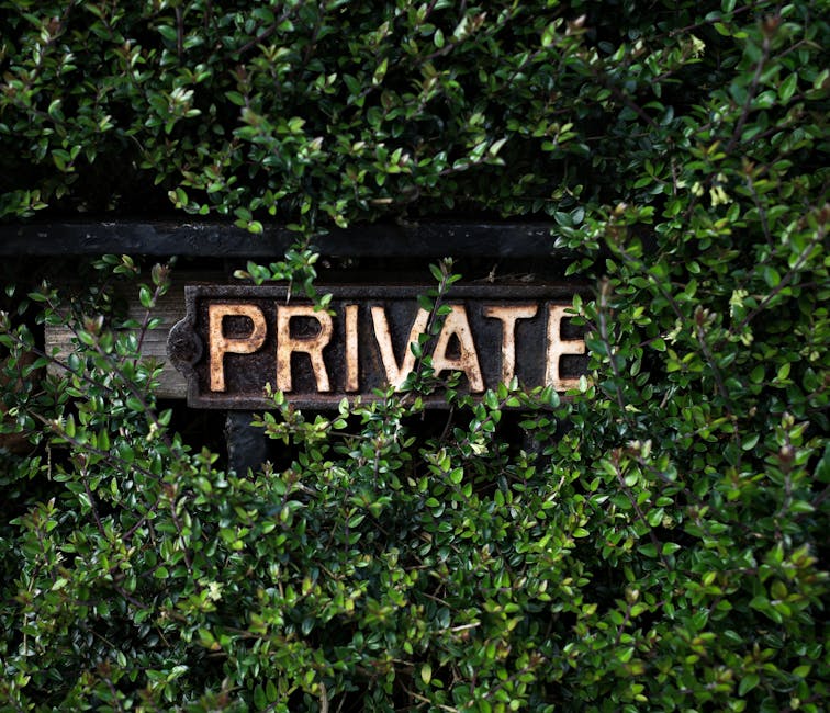 A close-up view of a weathered, rust-colored metal sign spelling 'PRIVATE' in capital letters, mounted on a black wooden board partially obscured by dense, glossy green foliage with small oval-shaped leaves. The sign is framed by a garden hedge, with some loose greenery trailing over the top edge. The background shows the leafy hedge, indicating a private garden or outdoor area, and the natural lighting highlights the texture of the rusted sign and the vibrant greenery. This scene exemplifies garden maintenance elements such as trimming and maintaining plants around private property boundaries, consistent with the themes of outdoor care and landscaping associated with Gardeners Pimlico.